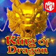 Hỗ trợ kỹ thuật 24/7