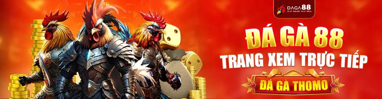 Đá gà trực tuyến sôi động tại xoso888. bet